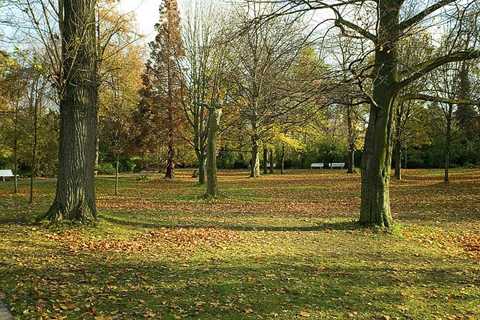 Baeume im Kurpark von Bad Duerkheim